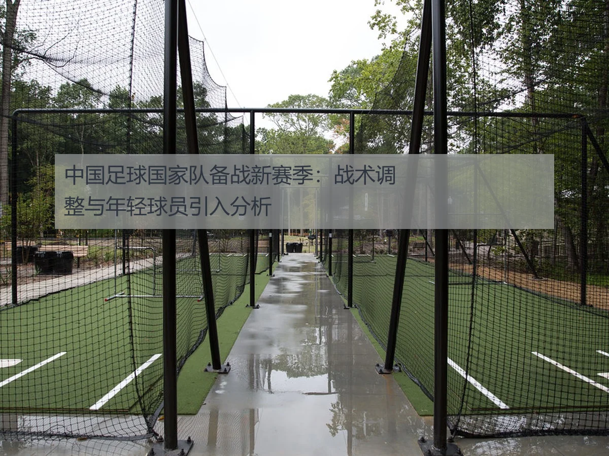 中国足球国家队备战新赛季:战术调整与年轻球员引入分析